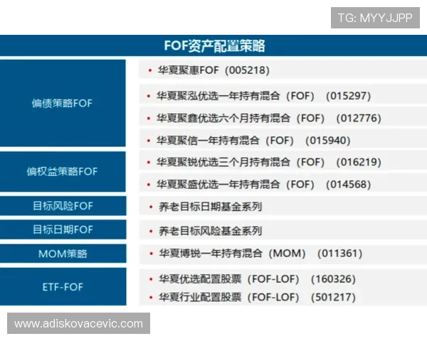 问鼎登陆：从零到一打造行业领军品牌的全面策略与操作技巧