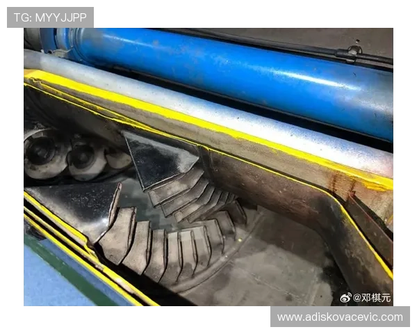 问鼎网官网入口登录成功后可以进行哪些操作全面介绍